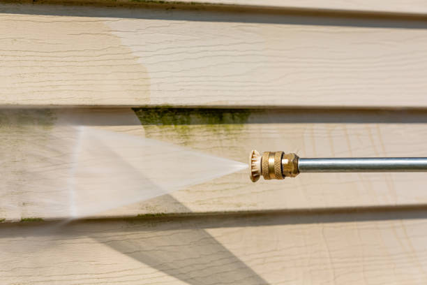 Best Deck Cleaning Services  in Belleville, PA
